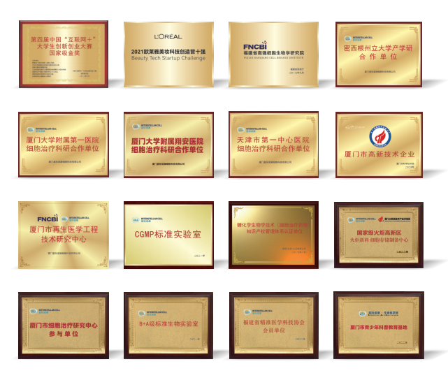 1670915263142245.png 7.png